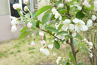 写真3