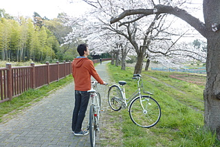 写真1